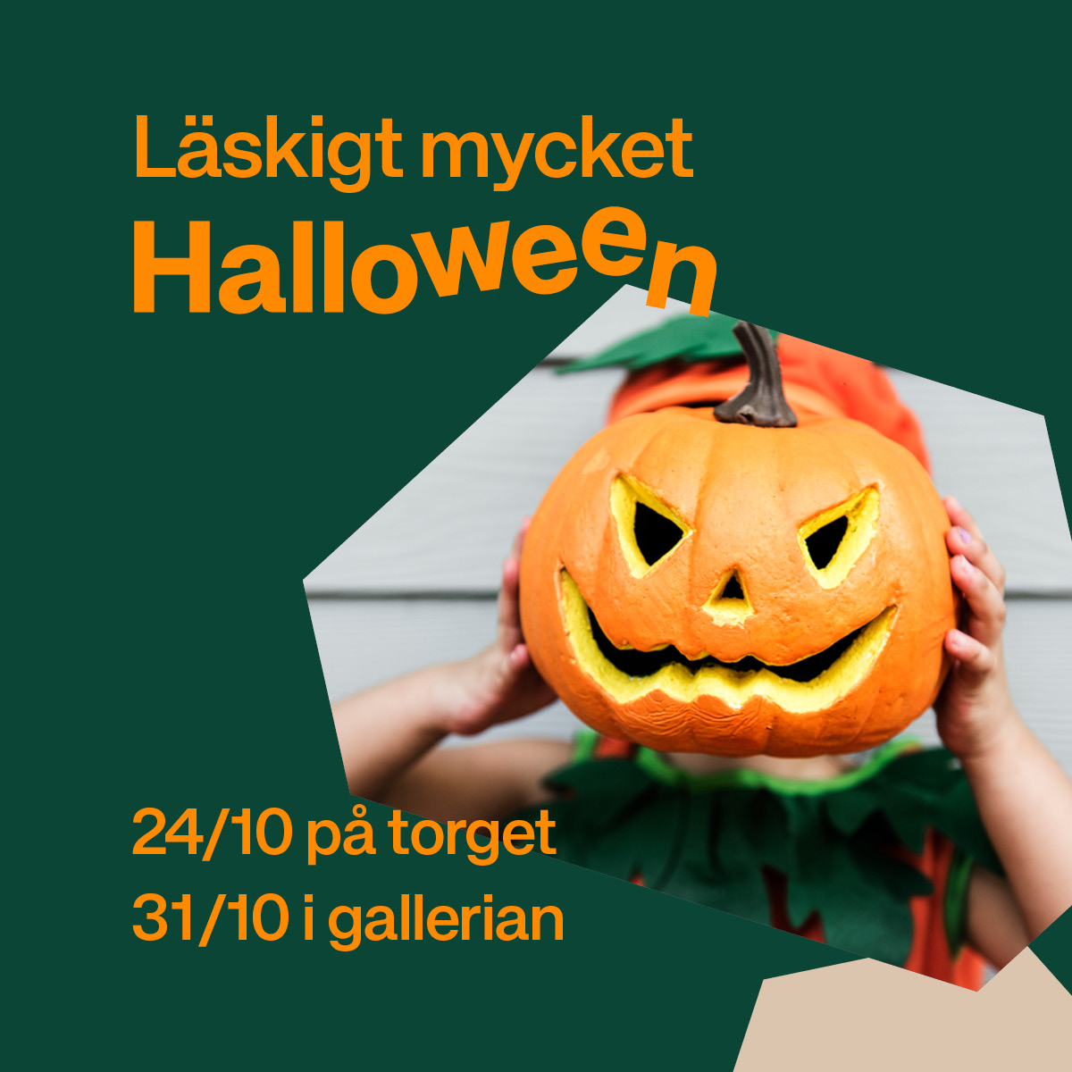 MÖG_Halloween_Generell_Liftsection_1200x1200